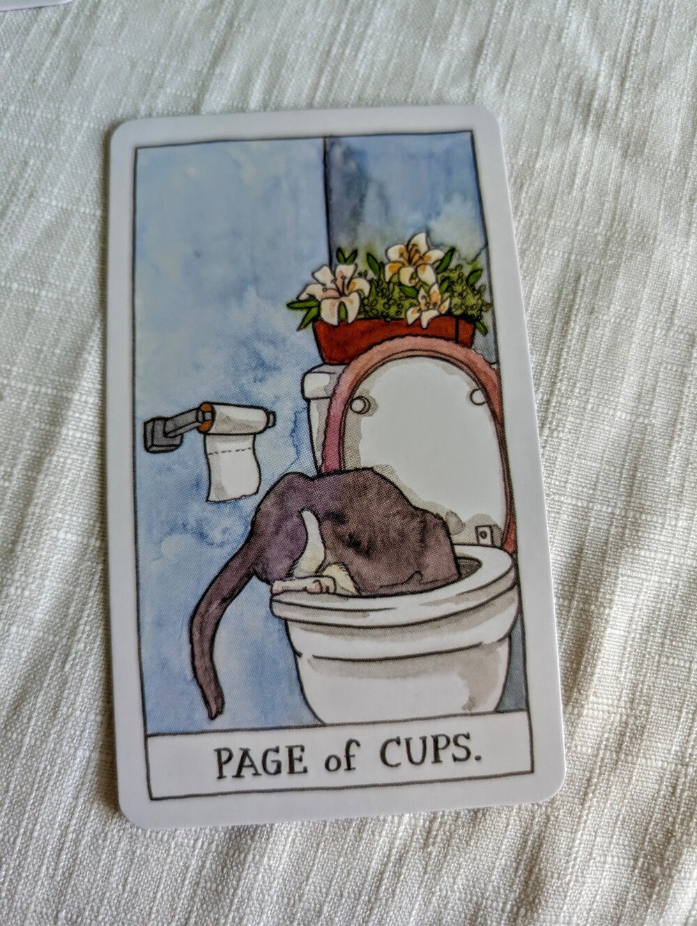 Totally Adorable Cat Tarot Card Set With Manual - Picture 2 of 10